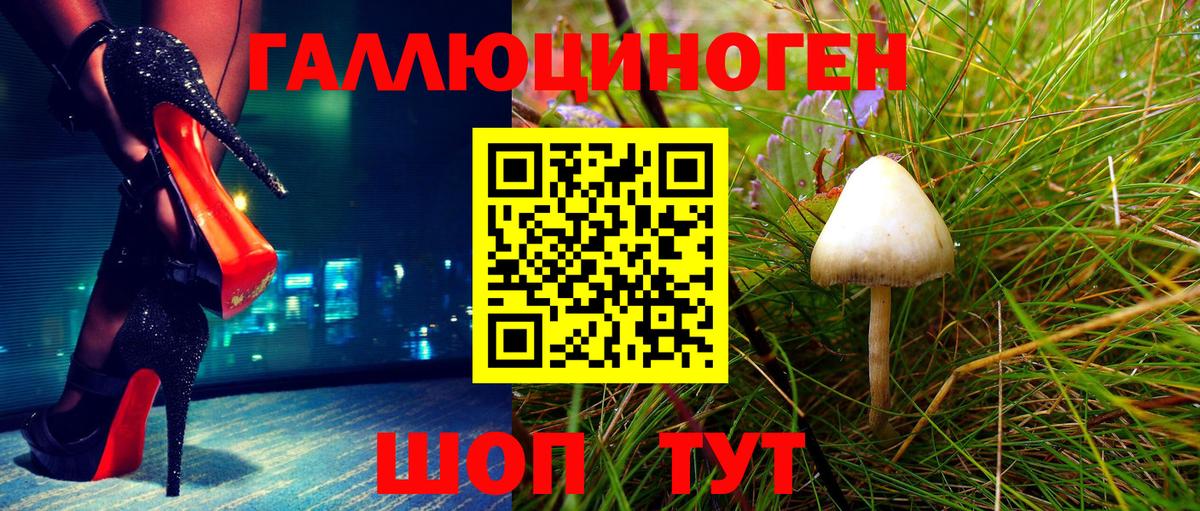 Псилоцибиновые грибы GOLDEN TEACHER Ипатово