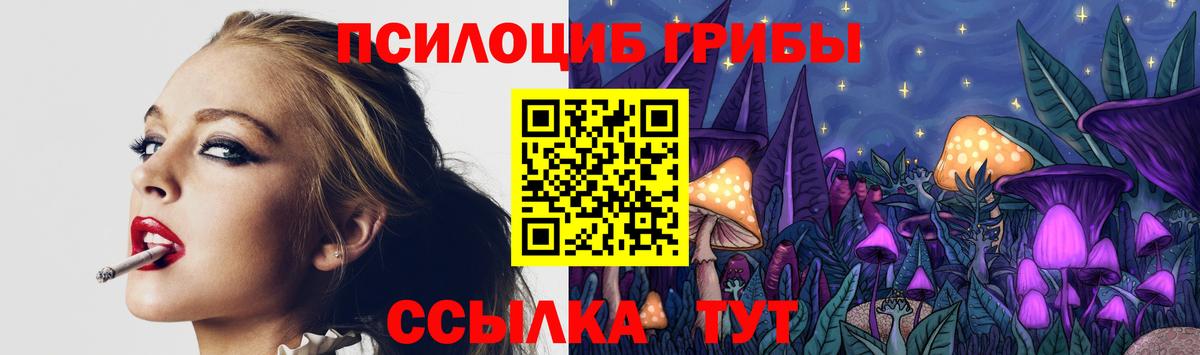 Ипатово  Галлюциногенные грибы Psilocybe  Вход с VPN 